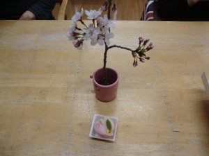社会福祉法人 愛光